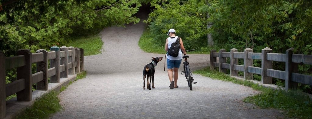 Website Header 2050x780 5 1024x390