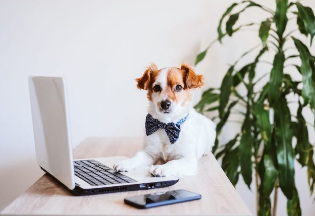 Website Images 1140x780 7 1024x701