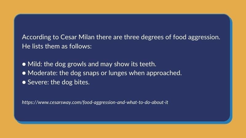 Resource Guarding Explained: Why Is Your Dog Guarding His Food & What Can You Do About It? Graphic featuring information about food aggression and resource guarding from Cesar Milan