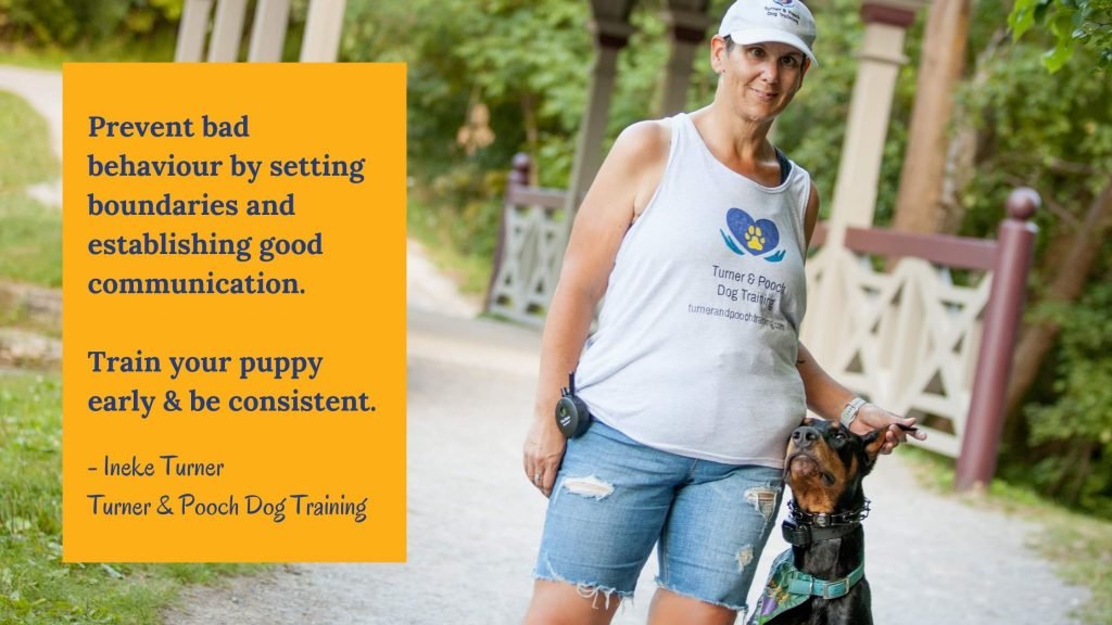 Puppy Training Basics: When To Start, What Training To Choose And Which Behaviours To Work On First Pooch Press In Text Images 1 1024x576